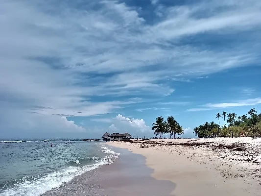 Vista de Playa Hemingway en Juan Dolio con palmeras, mar y cielo despejado.